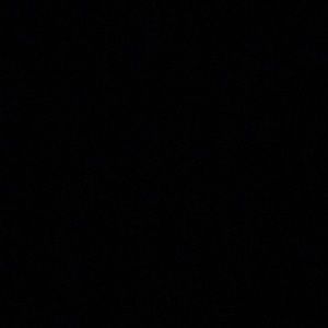 Meet your Posher, Evelyn